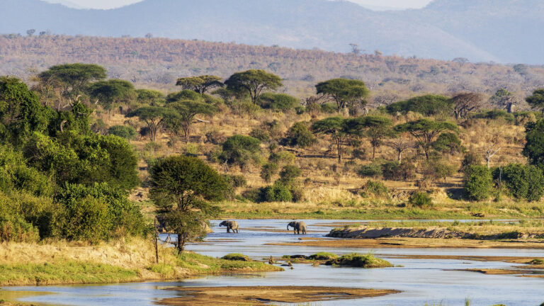 Fly-In-Safari RUFIJI